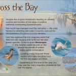 accross-the-bay_161028
