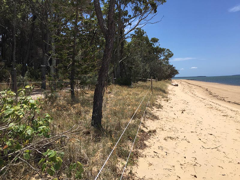 The shoreline of Norfolk Beach on Coochiemudlo Island after significant work to correct erosion on the shoreline.