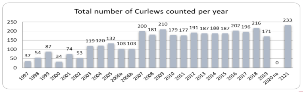statistics of curlew count over the years till 2021