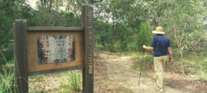 Person walking into the Melaleuca Wetlands on Coochiemudlo Island.