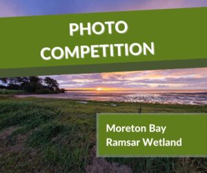 Photo competition, Moreton Bay Ramsar Project