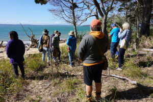 Group of participants on a cultural walk on Coochiemudlo Island, overlooking Moreton Bay on the north east of the Island. Part of NAIDOC celebrations, 2022.