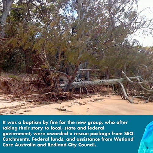 It was a baptism of fire for the new group, who after taking their story to local, state and federal governments, were awarded a rescue package from SEQ Catchments, federal funds, and assistance from Wetland Care Australia and Redland City Council.
