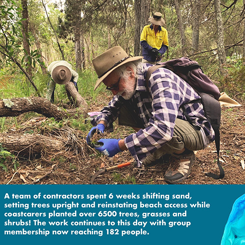 A team of contractors spent 6 weeks shifting sand, setting trees upright and reinstating beach access while coastcarers planted over 6,500 trees, grasses and shrubs!. The work continues to this day with group membership now reaching 182 people.