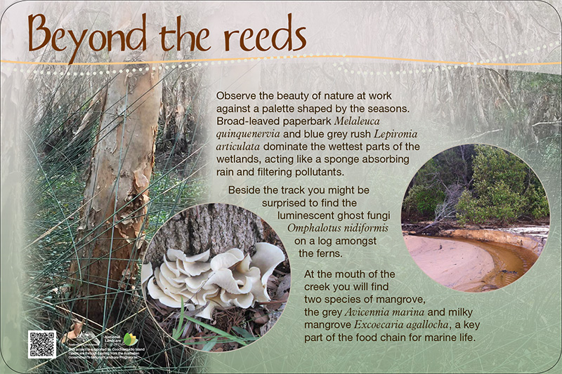 Beyond the reeds - interpretative signage on Coochiemudlo Island about the environment.