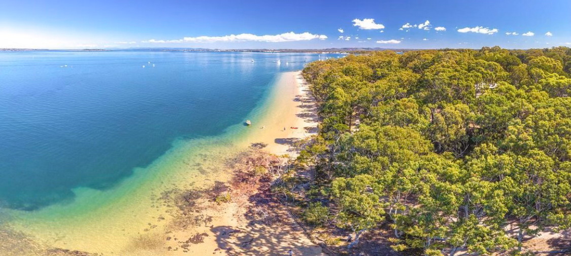 Aerial view of Norkfolk Beach on Coochiemudlo Island that shows the teal blue sea and green tree tops of Emerald Fringe and Melaleuca Wetlands.