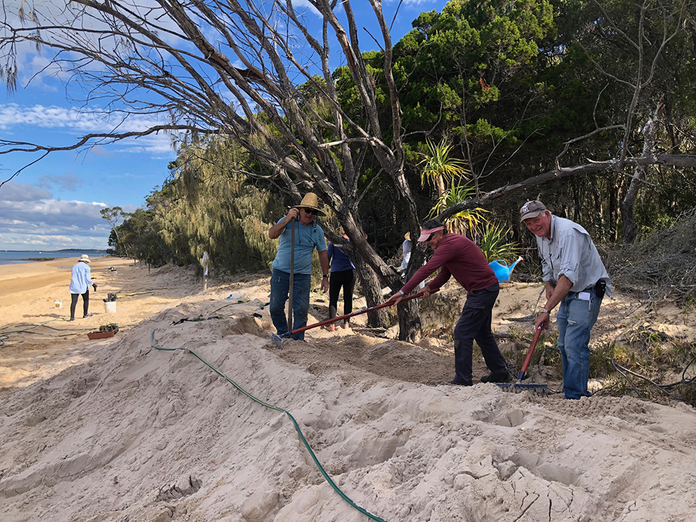 Coochiemudlo Island Coastcare volunteers on Norfolk Beach in June 2023, watering freshly planted grasses on the dune for the sand erosion revegation project.