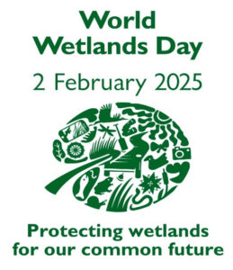 World Wetlands Day, 2 February 2025, protecting wetlands for our common future.